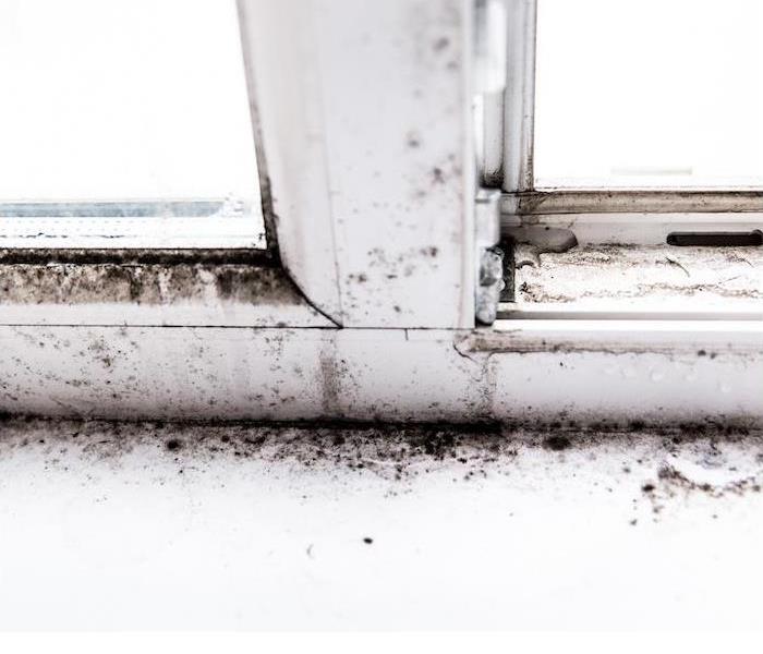 Damp windowsill covered with dark mold spots and residue.